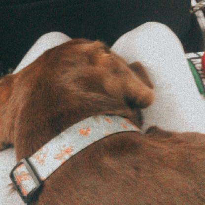 jennifergoody's avatar