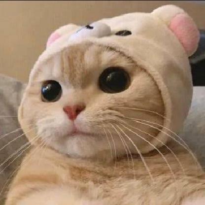 MazZzoOonaaa's avatar