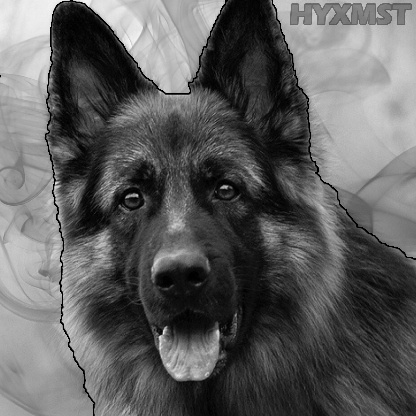 MartynB06's avatar