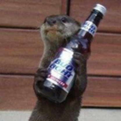 ll-Infected-ll's avatar