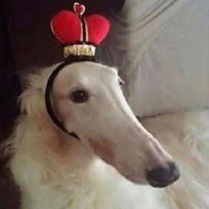 L0rdFoog's avatar