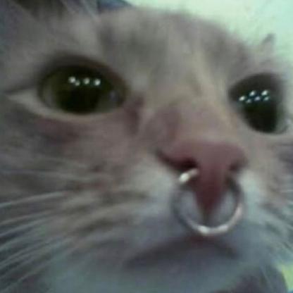 fa1tu's avatar