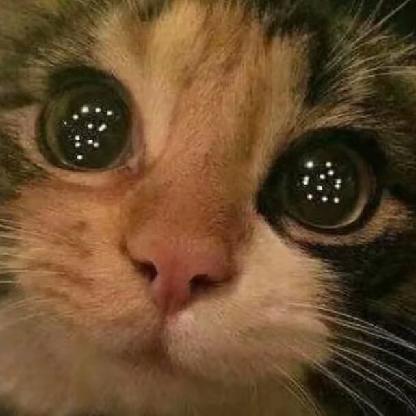 EnderplayerSam's avatar