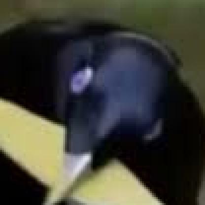 TrainFanJay's avatar