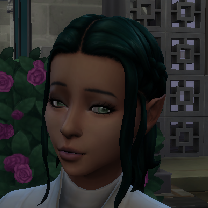 VremShi's avatar
