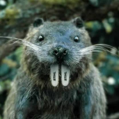 TeRR0RBIBeR's avatar