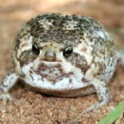 waiting-_-pls's avatar