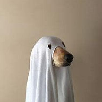 TLK_Ravenger's avatar