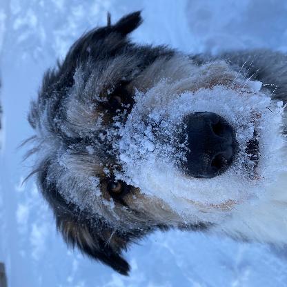 TJCheyne009's avatar