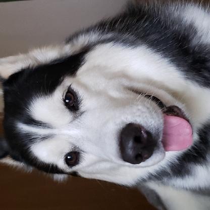 quinnleyomt's avatar