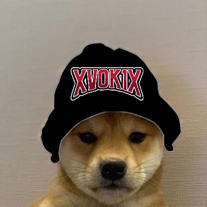 xVok1x's avatar