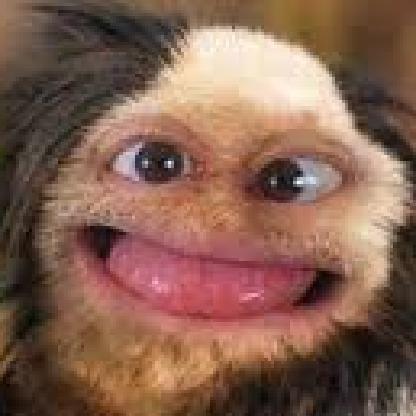 Pupslochknaller's avatar