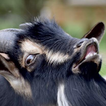 ren0000231451016's avatar