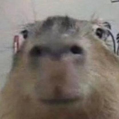 capnjunke's avatar
