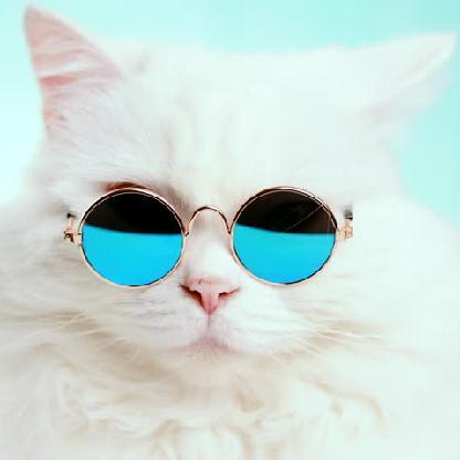 Neko2Yoi's avatar