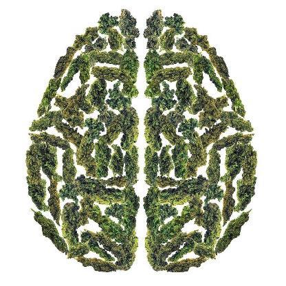 CROkiller92's avatar