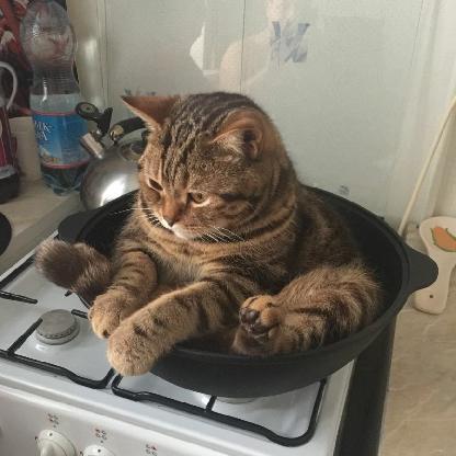 MarkkuSaukko's avatar