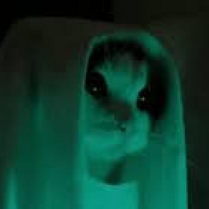 -iKougaEvil-'s avatar