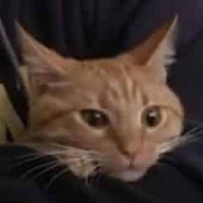Bennjipie's avatar