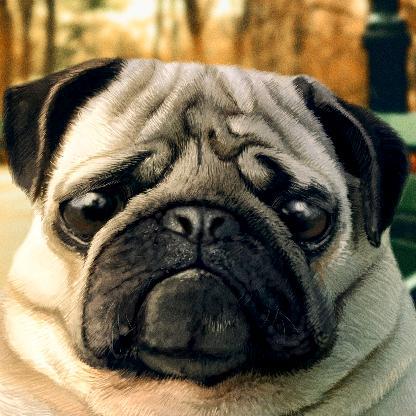 Filzitoo's avatar