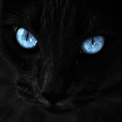 MoonyFBM's avatar