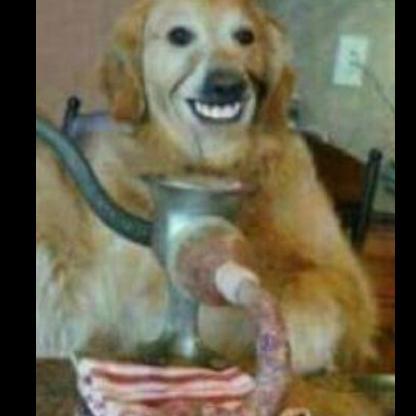 FlameHotdog221's avatar