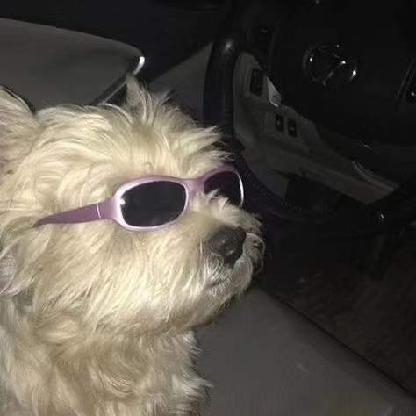 Sacurty68's avatar