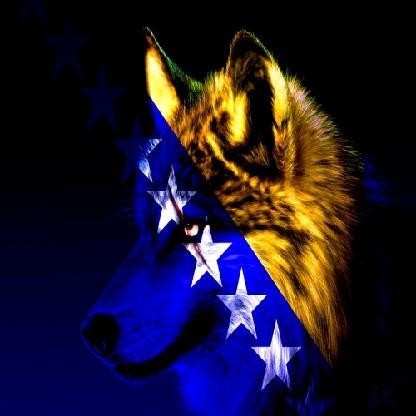 sBiH's avatar