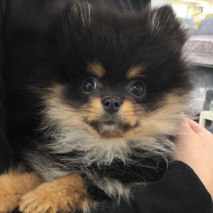 Twitch_Rusty21's avatar