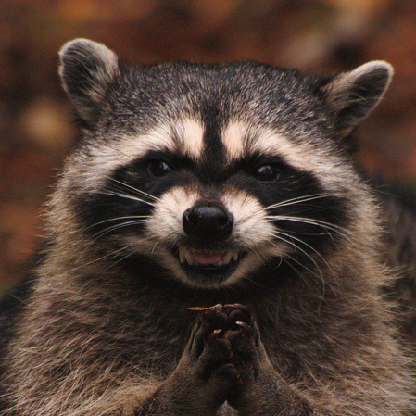 MeepityMoop's avatar