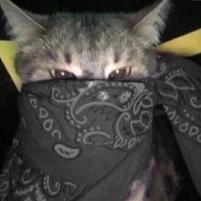 natomakee's avatar