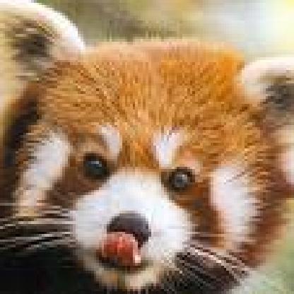VenUk's avatar