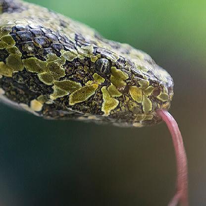 M0stly_Lucid's avatar