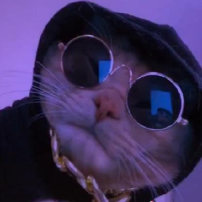 Powercanine1765's avatar