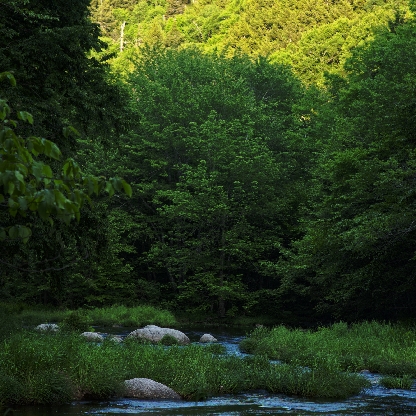 3be6c26271cf7ff8's avatar