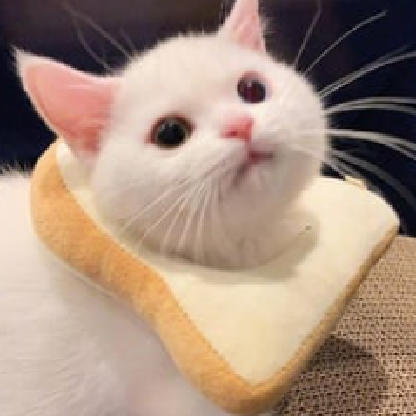 svweetener's avatar