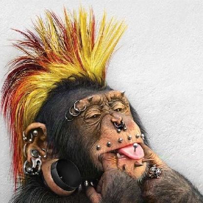 MonkeyGenix's avatar