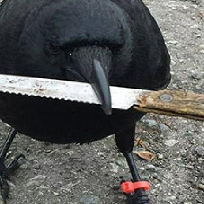 ImmoralCrow's avatar