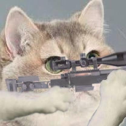 CrazySniperCatt0's avatar