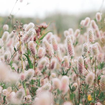 koda-dore-miss's avatar