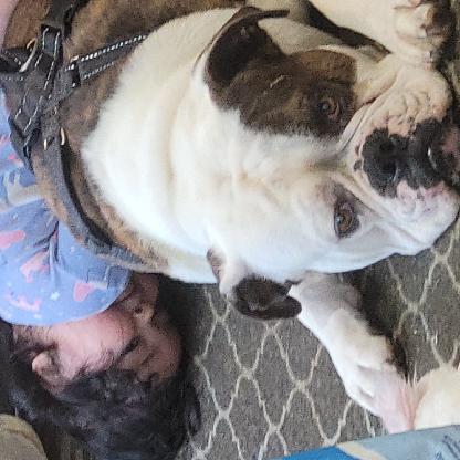 0xOHBExONEx0's avatar