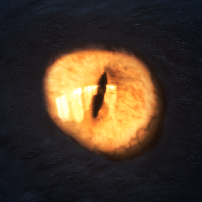 Falc0344's avatar