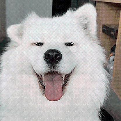 DaddyWolfy's avatar