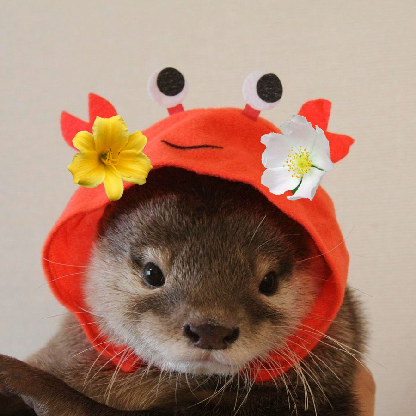 is3f786nphhe's avatar