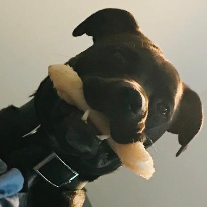 Lhummel39's avatar