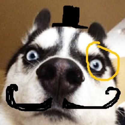 Captain_Egor522's avatar