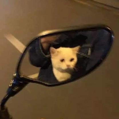 pizoh04's avatar