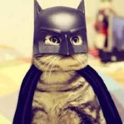 KittyAndChipz's avatar