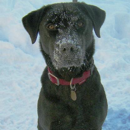 GrumblemunchOB1's avatar