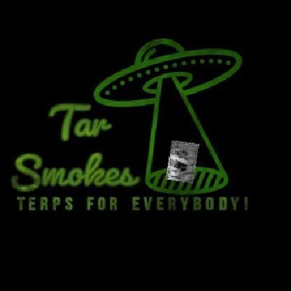 ttvNotTheRealTar's avatar